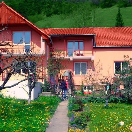 Pensiunea Sighisoara Exterior photo